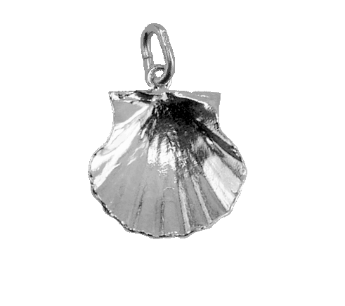 Scallop Small